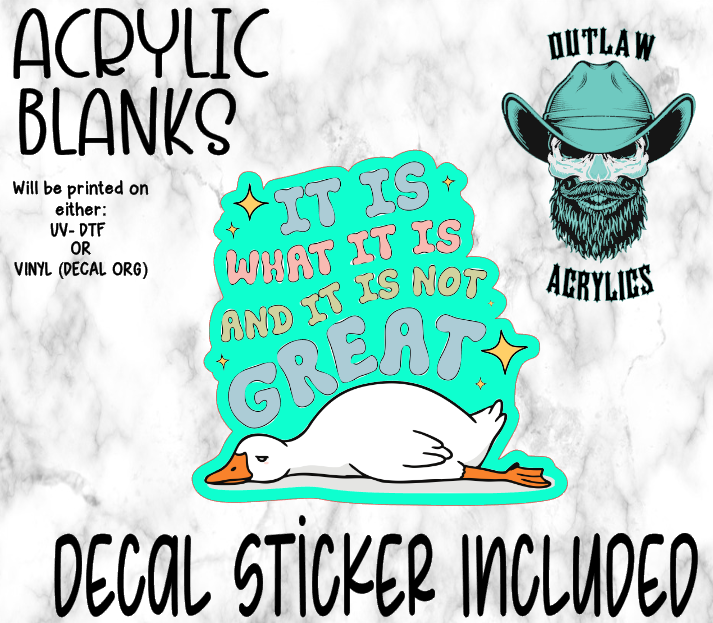 It Is What It Is Duck Acrylic & Decal Set