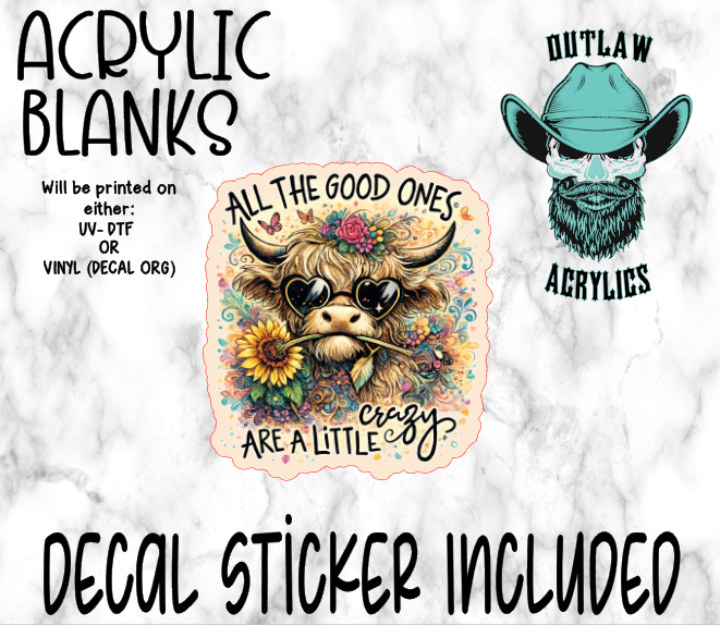 Good Crazy Acrylic & Decal Set