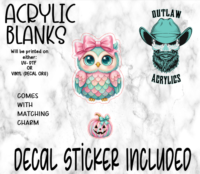Pink Teal Owl Acrylic & Decal Set WITH MATCHING CHARM