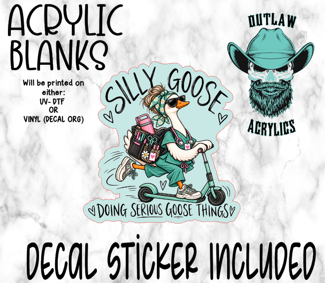 Silly Goose Serious Goose Acrylic & Decal Set