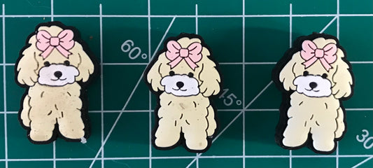 Poodle Focal