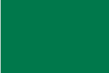 Dark Green 12x12 Permanent Vinyl Adhesive