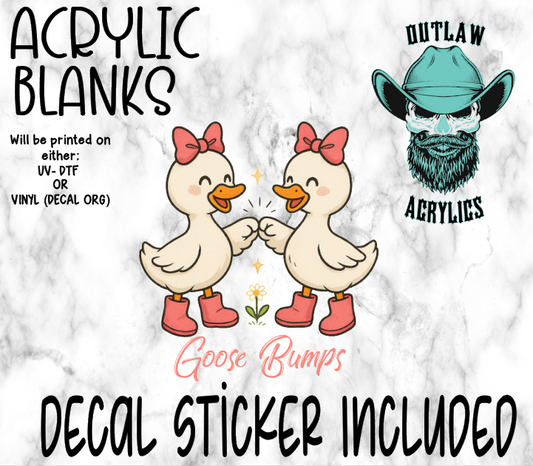 Goose Bumps Acrylic & Decal Set