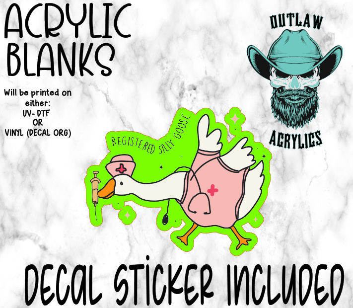 Registered Silly Goose Nurse Acrylic & Decal Set
