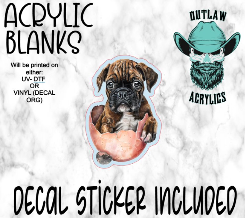 Baby Boxer Easter Acrylic & Decal Set