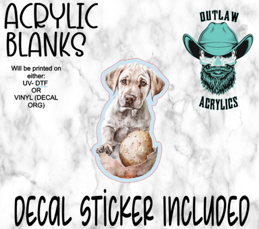 Baby Lab Easter Acrylic & Decal Set