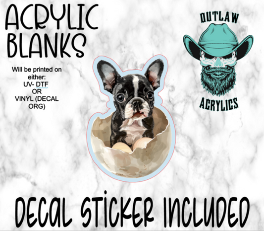 Baby Boston Terrier Easter Acrylic & Decal Set