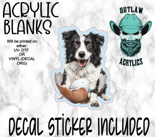 Baby Border Collie Easter Acrylic & Decal Set