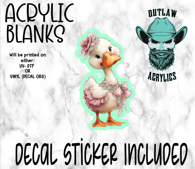 Young Whimsical Goose Acrylic & Decal Set