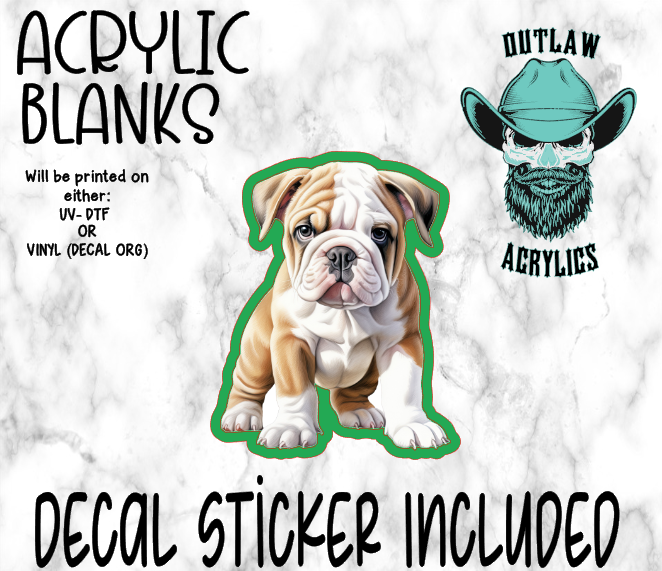 Watercolor Baby Bulldog Acrylic & Decal Set