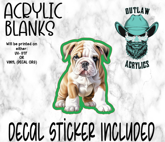 Watercolor Baby Bulldog Acrylic & Decal Set