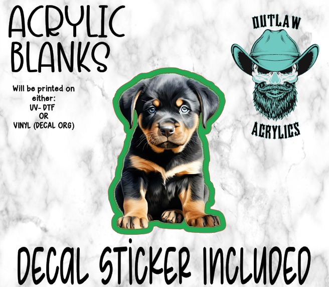 Watercolor Baby Rottie Acrylic & Decal Set