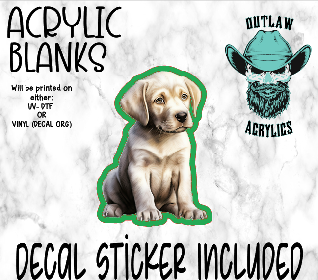 Watercolor Baby Lab Acrylic & Decal Set